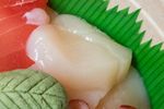 Raw scallop
